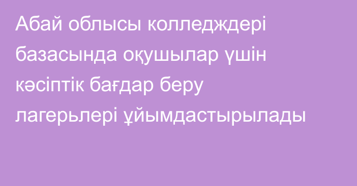 Абай облысы колледждері базасында оқушылар үшін кәсіптік бағдар беру лагерьлері ұйымдастырылады