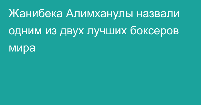 Жанибека Алимханулы назвали одним из двух лучших боксеров мира