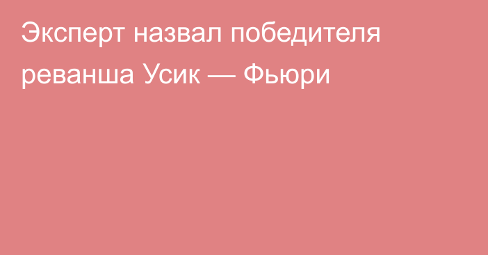 Эксперт назвал победителя реванша Усик — Фьюри