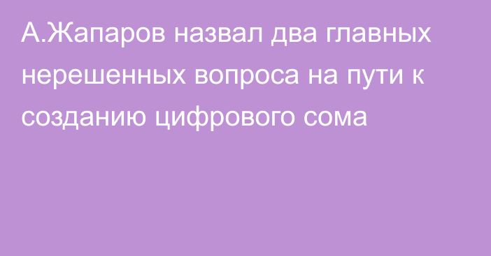 А.Жапаров назвал два главных нерешенных вопроса на пути к созданию цифрового сома