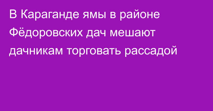 В Караганде ямы в районе Фёдоровских дач мешают дачникам торговать рассадой