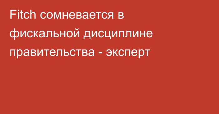 Fitch сомневается в фискальной дисциплине правительства - эксперт