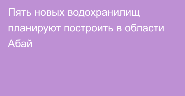 Пять новых водохранилищ планируют построить в области Абай