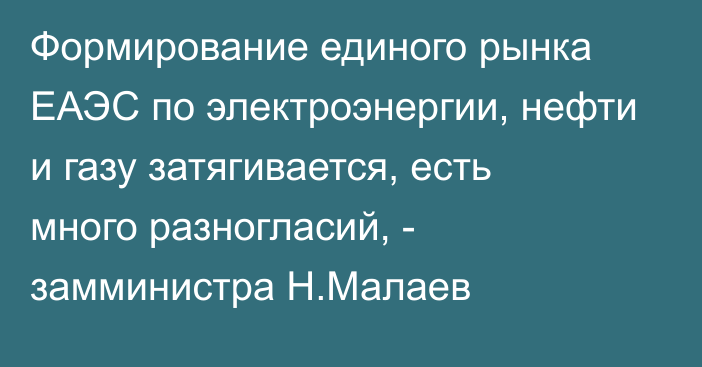 Формирование единого рынка ЕАЭС по электроэнергии, нефти и газу затягивается, есть много разногласий, - замминистра Н.Малаев