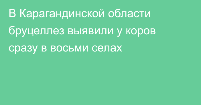 В Карагандинской области бруцеллез выявили у коров сразу в восьми селах