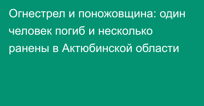 Огнестрел и поножовщина: один человек погиб и несколько ранены в Актюбинской области