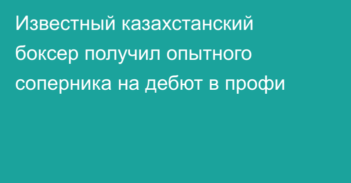 Известный казахстанский боксер получил опытного соперника на дебют в профи