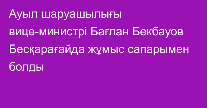 Ауыл шаруашылығы вице-министрі Бағлан Бекбауов Бесқарағайда жұмыс сапарымен болды