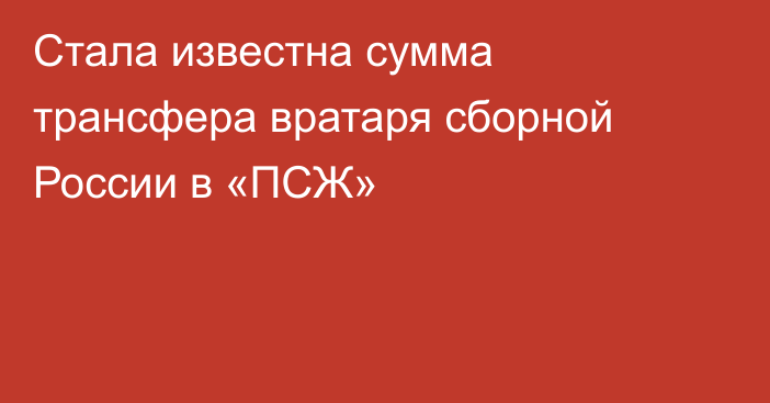 Стала известна сумма трансфера вратаря сборной России в «ПСЖ»