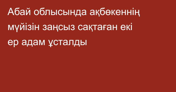 Абай облысында ақбөкеннің мүйізін заңсыз сақтаған екі ер адам ұсталды