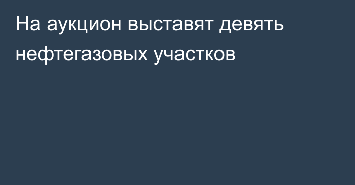 На аукцион выставят девять нефтегазовых участков