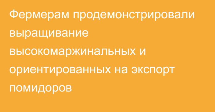 Фермерам продемонстрировали выращивание высокомаржинальных и ориентированных на экспорт помидоров