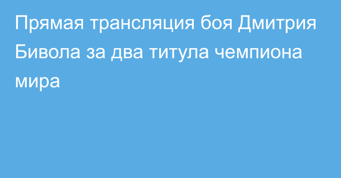 Прямая трансляция боя Дмитрия Бивола за два титула чемпиона мира