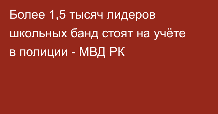 Более 1,5 тысяч лидеров школьных банд стоят на учёте в полиции - МВД РК