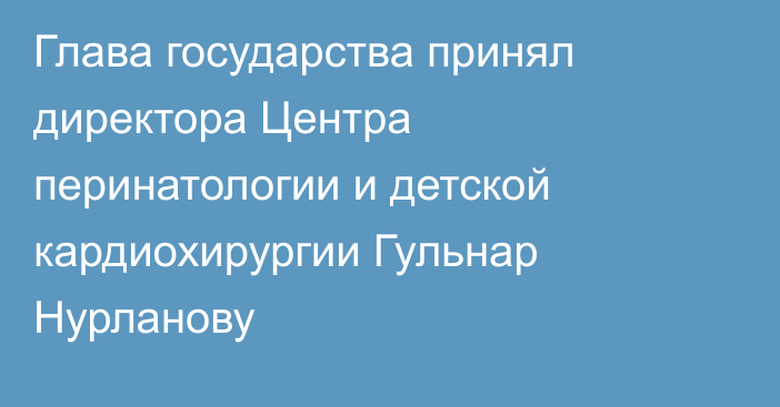 Глава государства принял директора Центра перинатологии и детской кардиохирургии Гульнар Нурланову