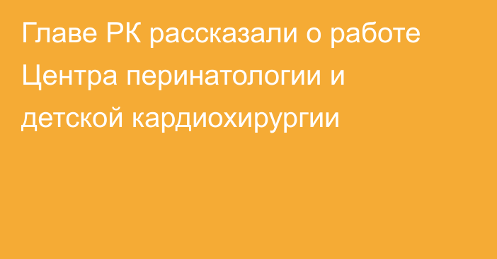 Главе РК рассказали о работе Центра перинатологии и детской кардиохирургии