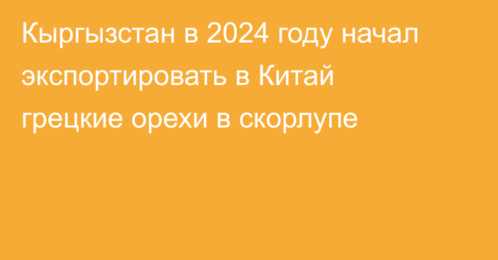 Кыргызстан в 2024 году начал экспортировать в Китай грецкие орехи в скорлупе 