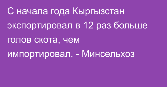 С начала года Кыргызстан экспортировал в 12 раз больше голов скота, чем импортировал, - Минсельхоз