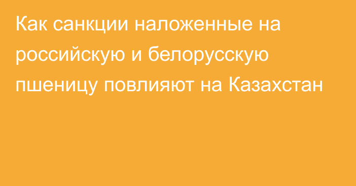 Как санкции наложенные на российскую и белорусскую пшеницу повлияют на Казахстан