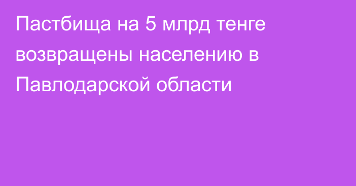 Пастбища на 5 млрд тенге возвращены населению в Павлодарской области