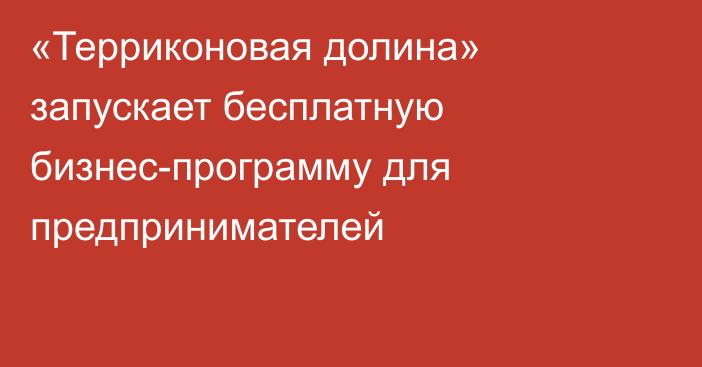 «Терриконовая долина» запускает бесплатную бизнес-программу для предпринимателей