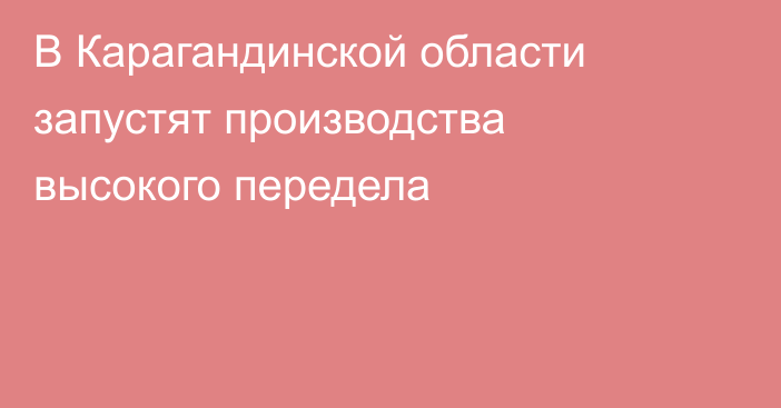 В Карагандинской области запустят производства высокого передела