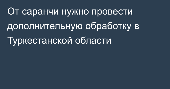 От саранчи нужно провести дополнительную обработку в Туркестанской области