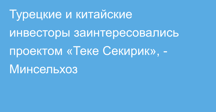 Турецкие и китайские инвесторы заинтересовались проектом «Теке Секирик», - Минсельхоз