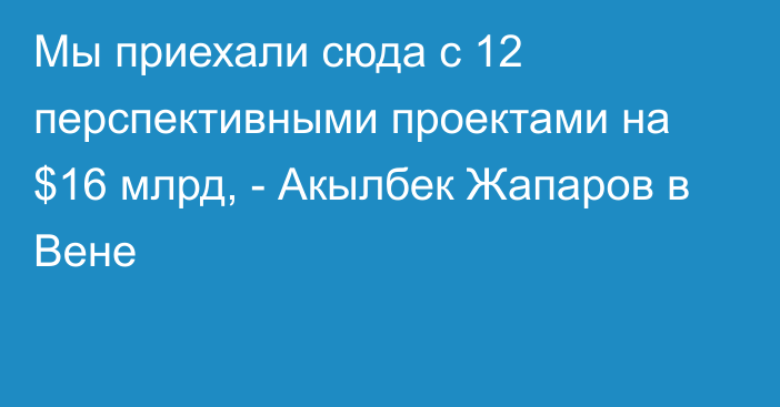 Мы приехали сюда с 12 перспективными проектами на $16 млрд, - Акылбек Жапаров в Вене