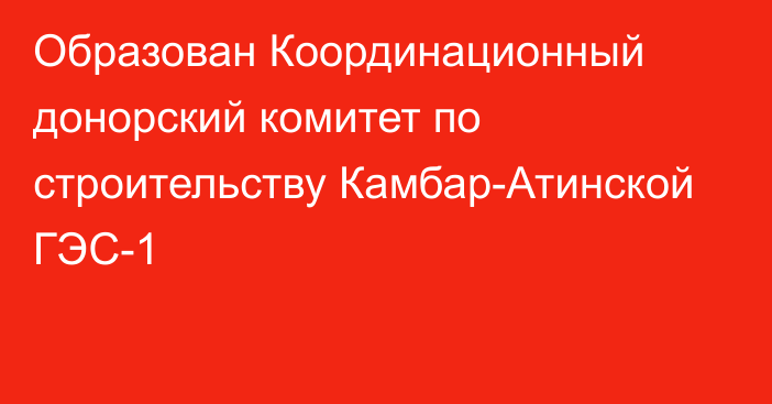 Образован Координационный донорский комитет по строительству Камбар-Атинской ГЭС-1