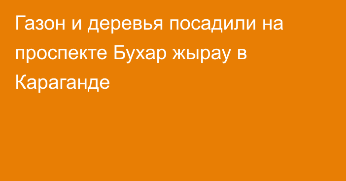 Газон и деревья посадили на проспекте Бухар жырау в Караганде