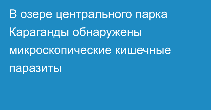 В озере центрального парка Караганды обнаружены микроскопические кишечные паразиты