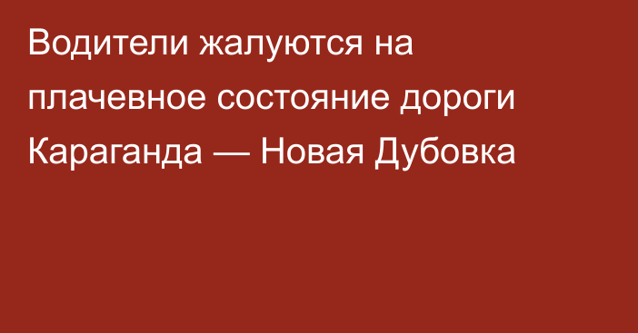 Водители жалуются на плачевное состояние дороги Караганда — Новая Дубовка