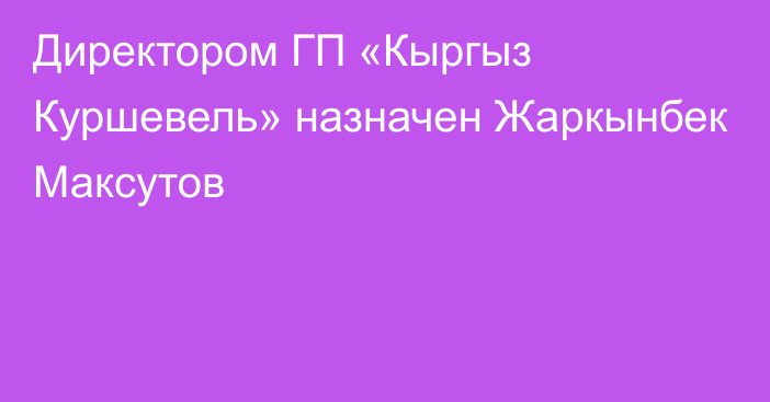 Директором ГП «Кыргыз Куршевель» назначен Жаркынбек Максутов