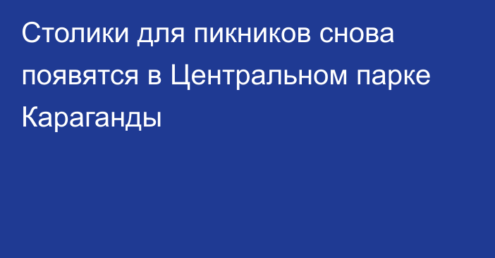 Столики для пикников снова появятся в Центральном парке Караганды