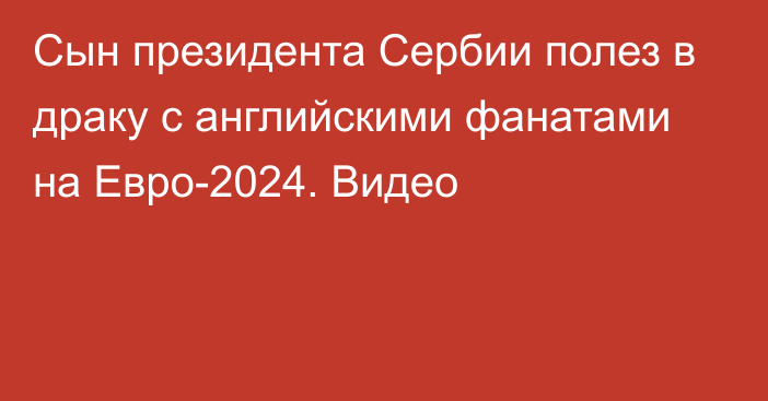 Сын президента Сербии полез в драку с английскими фанатами на Евро-2024. Видео