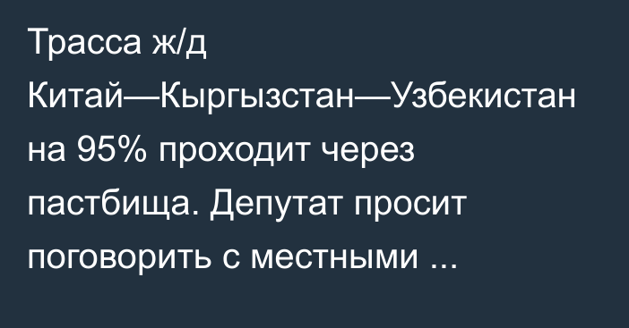 Трасса ж/д Китай—Кыргызстан—Узбекистан на 95% проходит через пастбища. Депутат просит поговорить с местными жителями