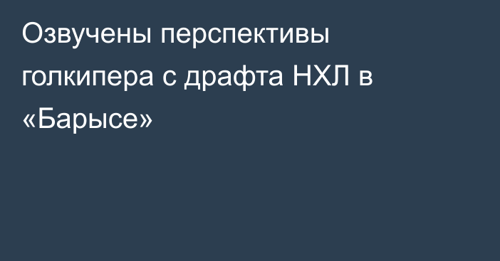 Озвучены перспективы голкипера с драфта НХЛ в «Барысе»