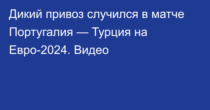 Дикий привоз случился в матче Португалия — Турция на Евро-2024. Видео