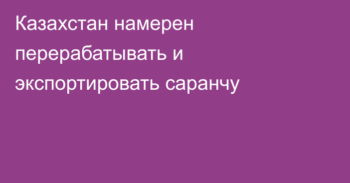 Казахстан намерен перерабатывать и экспортировать саранчу