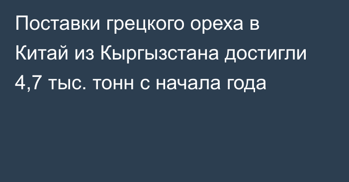 Поставки грецкого ореха в Китай из Кыргызстана достигли 4,7 тыс. тонн с начала года