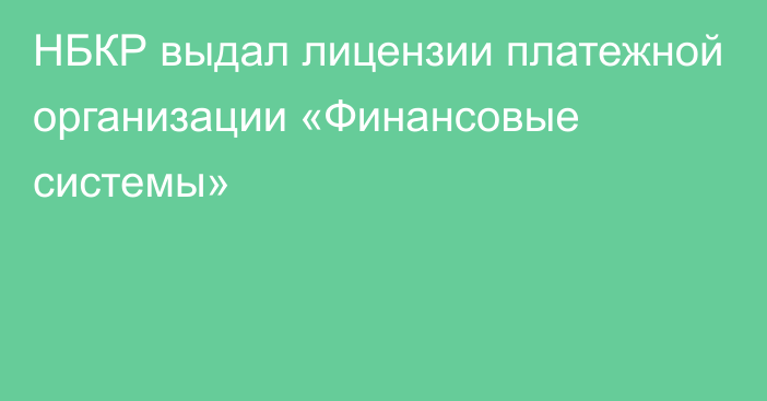 НБКР выдал лицензии платежной организации «Финансовые системы»