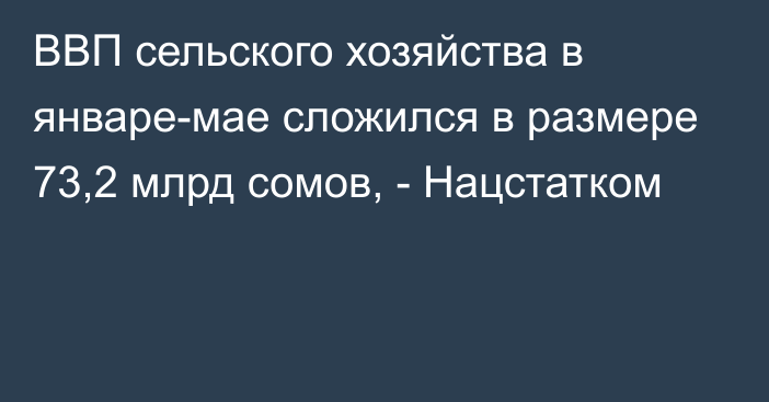 ВВП сельского хозяйства в январе-мае сложился в размере 73,2 млрд сомов, - Нацстатком