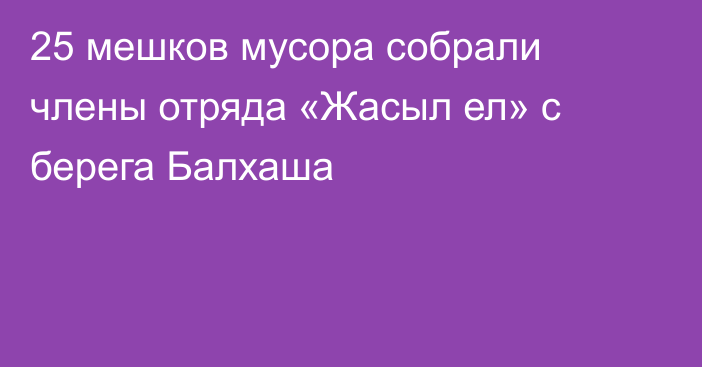 25 мешков мусора собрали члены отряда «Жасыл ел» с берега Балхаша