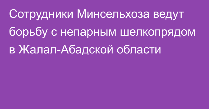 Сотрудники Минсельхоза ведут борьбу с непарным шелкопрядом в Жалал-Абадской области