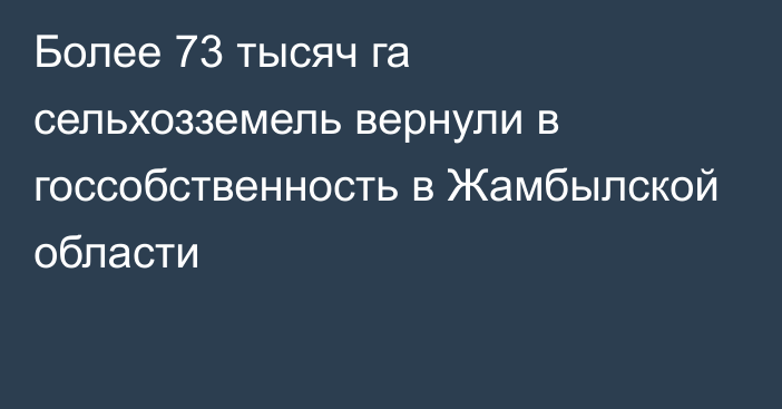 Более 73 тысяч га сельхозземель вернули в госсобственность в Жамбылской области