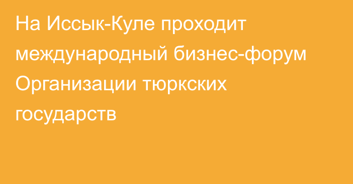 На Иссык-Куле проходит международный бизнес-форум Организации тюркских государств