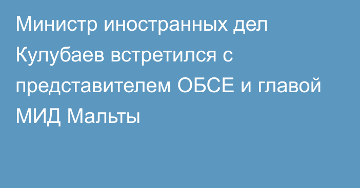 Министр иностранных дел Кулубаев встретился с представителем ОБСЕ и главой МИД Мальты