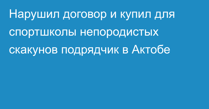 Нарушил договор и купил для спортшколы непородистых скакунов подрядчик в Актобе