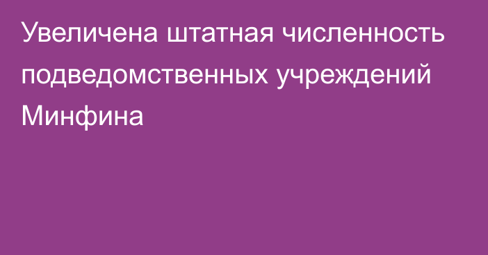 Увеличена штатная численность подведомственных учреждений Минфина